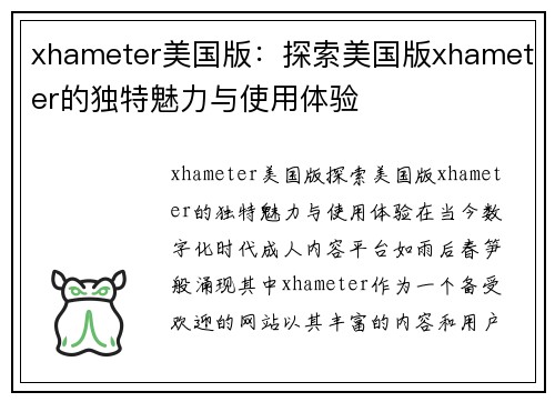 xhameter美国版：探索美国版xhameter的独特魅力与使用体验